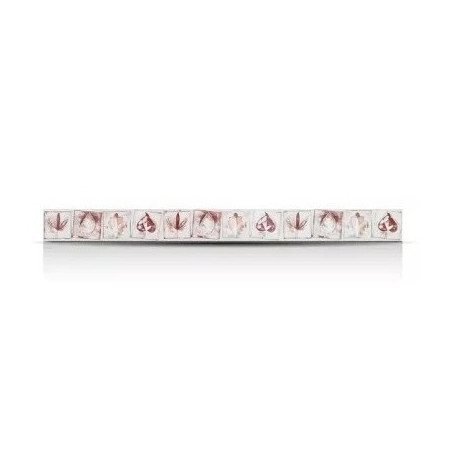 Friso Krass rojo 4.5 x 45 cm Acuarela