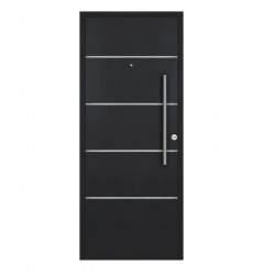 Puerta Futura 80 cm grafito...