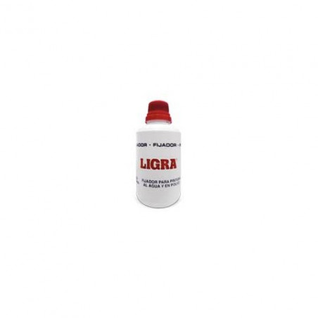 fijador para pintura 250 cc Ligra