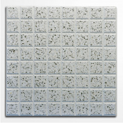 M2 baldosa pulida 40 x 40cm...