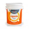 Ligante mejorador de adherencia 20kg Sinteplast