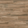 Porcelanato Identica Olmo 22.5 x 90cm 1ra Ilva