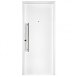 Puerta Mod. 1700 con barral...