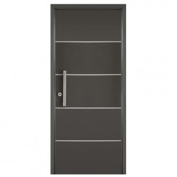Puerta Mod. 3783 80 grafito...
