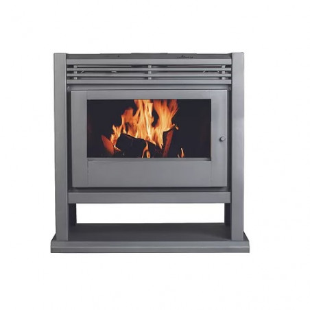 Salamandra Argentina Tromen