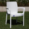 Silla plastica Guinea Rattan color blanca Voss2000