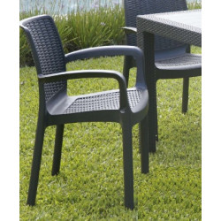 Silla plastica Guinea...