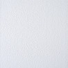 Placa cielorraso desmontable Duna 61 x 61 x 1.3cm
