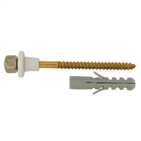 Tornillo para fijacion inodoro 22 x 70mm con buje y tarugo