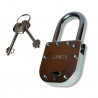 Candado de seguridad 50 mm niquelado Cerratex