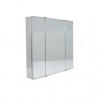 Botiquin acero inoxidable 60 x 50 x 8 cm Dhinox